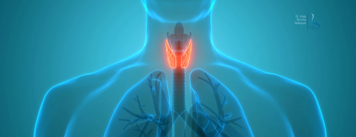 La Cirugía Bariátrica Funciona Incluso con Problemas de Tiroides